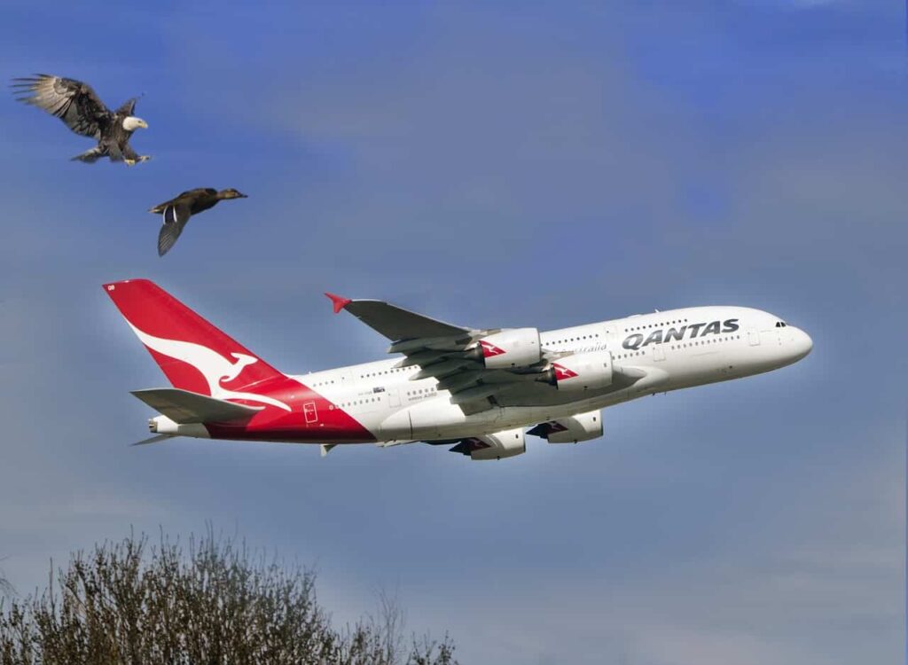 Qantas aircraft during take off 